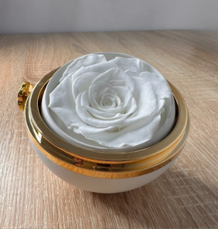 Circle Ring/Rose Box -  خاتم دائري / علبة ورد